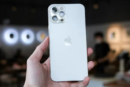 BlueFox Kasyno Aplikacja mobilna